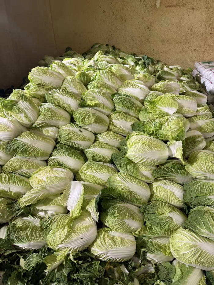 法国女篮无,敌战绩,场均净胜,Pinbo拼搏体育官网,拼搏体育App,拼搏体育直播,拼搏体育入口,拼搏体育平台